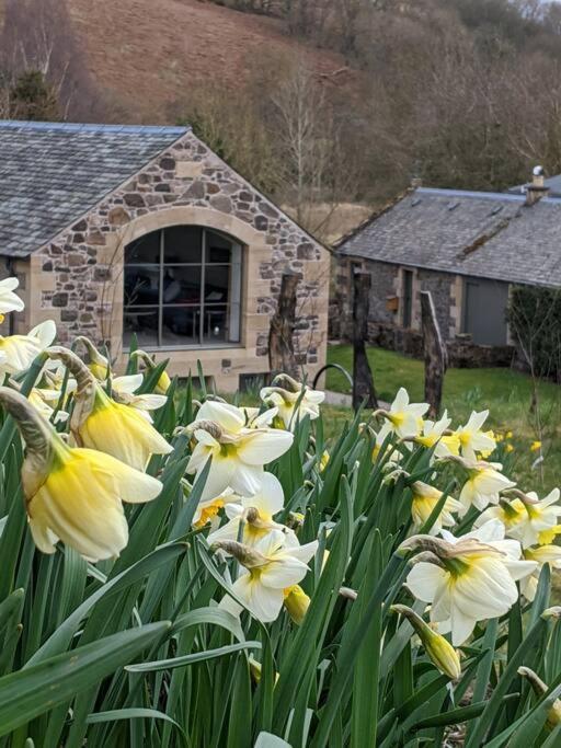 Apartmán Woodmill Arches - Designer Barn Conversion For Two Lindores Exteriér fotografie